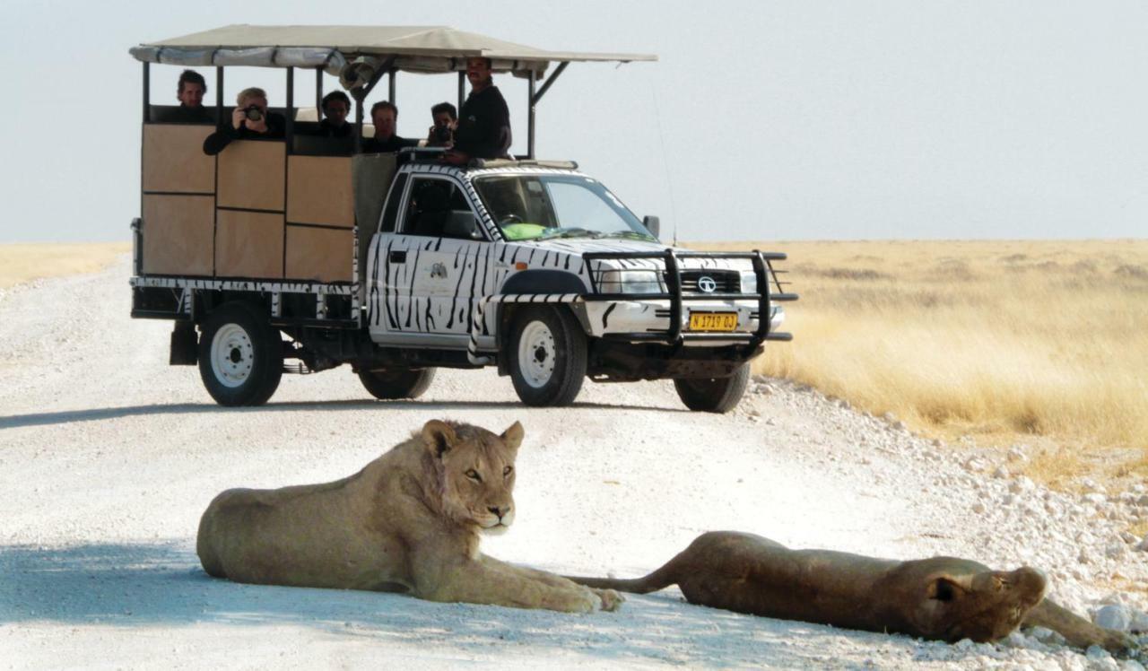 Gondwana Etosha Safari Lodge Окаукуэджо Экстерьер фото